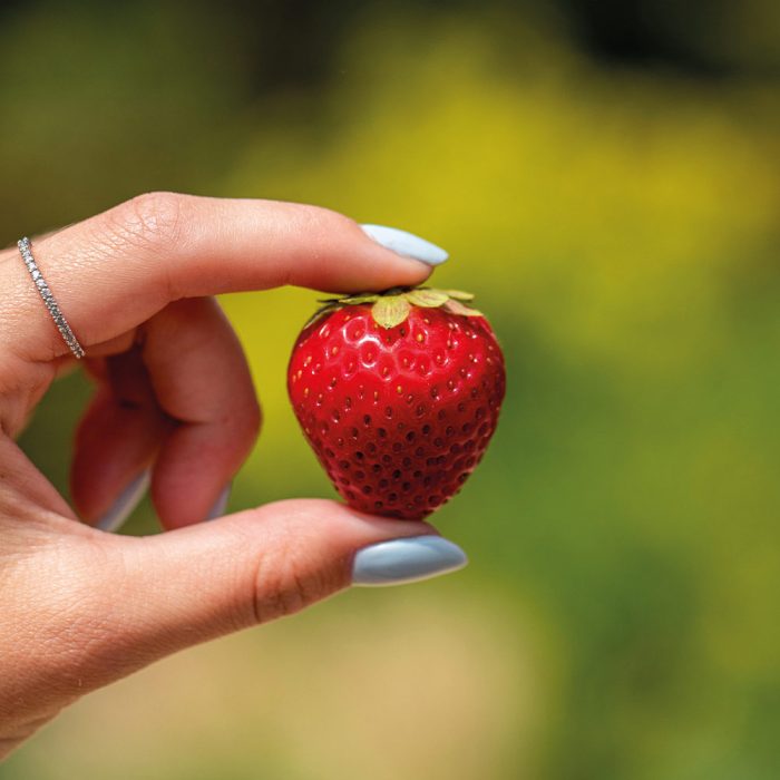 Erdbeere in der Hand