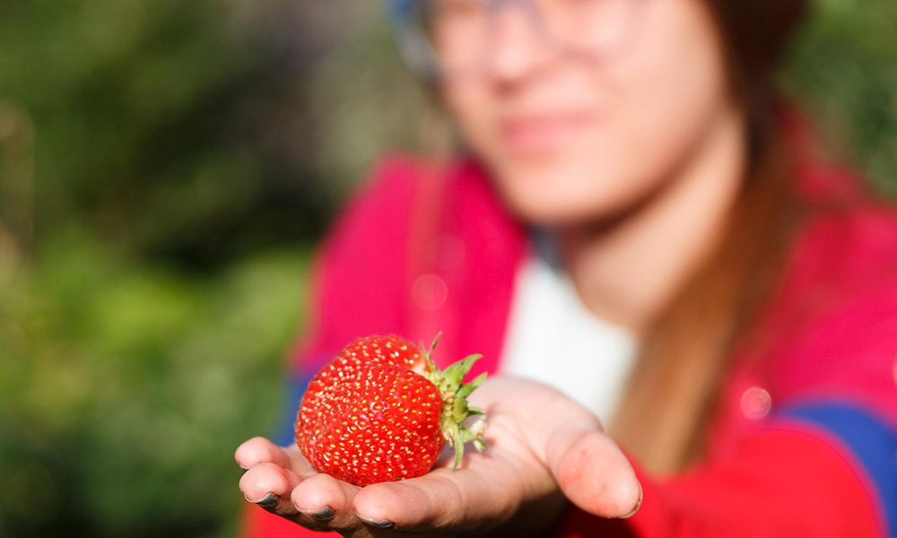 Eine Frau hält eine Erdbeere