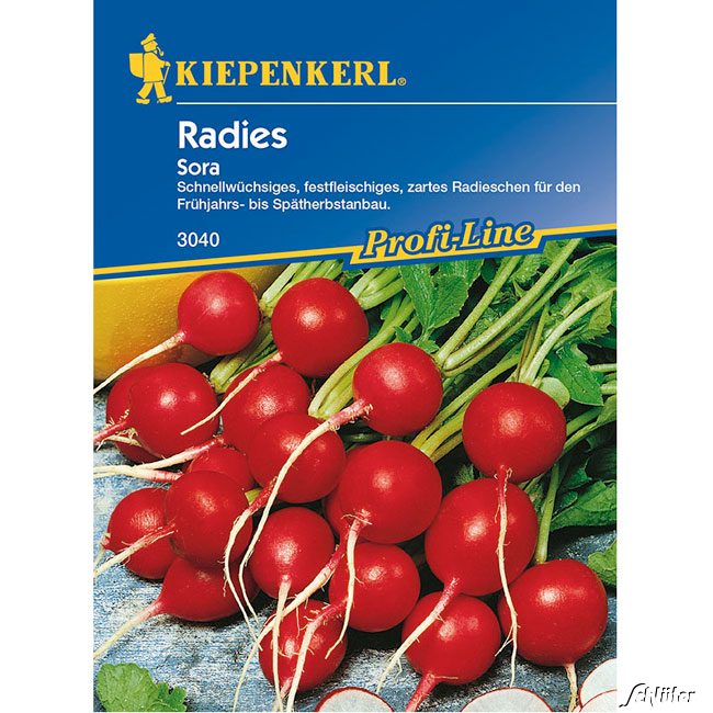 Radies 'Sora'