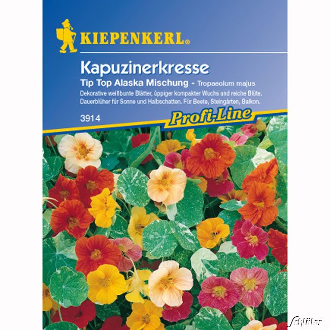 Kapuzinerkresse 'Tip-Top Alaska-Mischung'