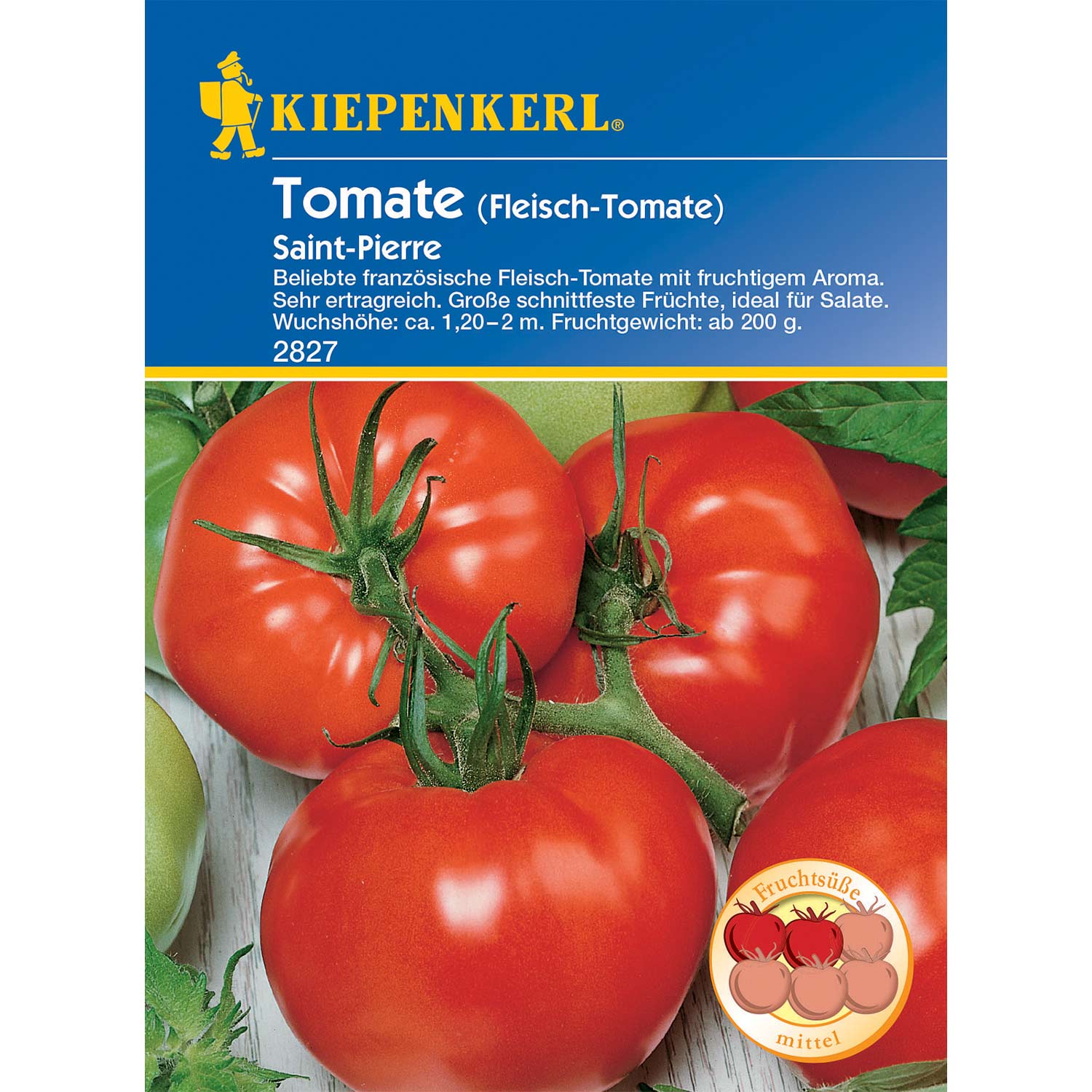 Fleisch-Tomate 'Saint Pierre'