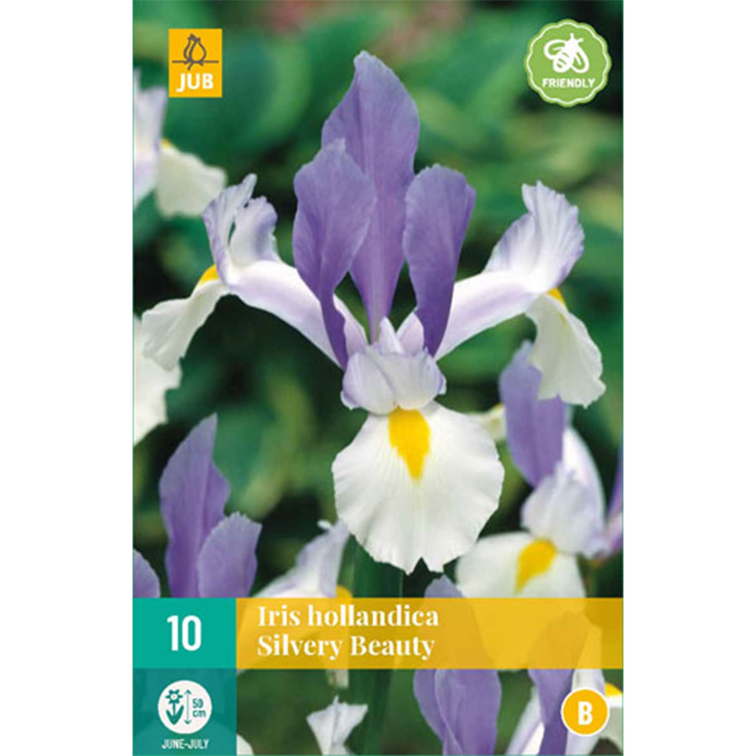 Iris hollandica 'Silvery Beauty' - 10 Stück