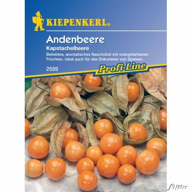 Andenbeere