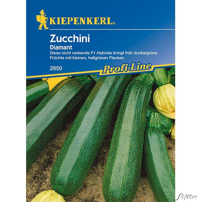 Zucchini 'Diamant'