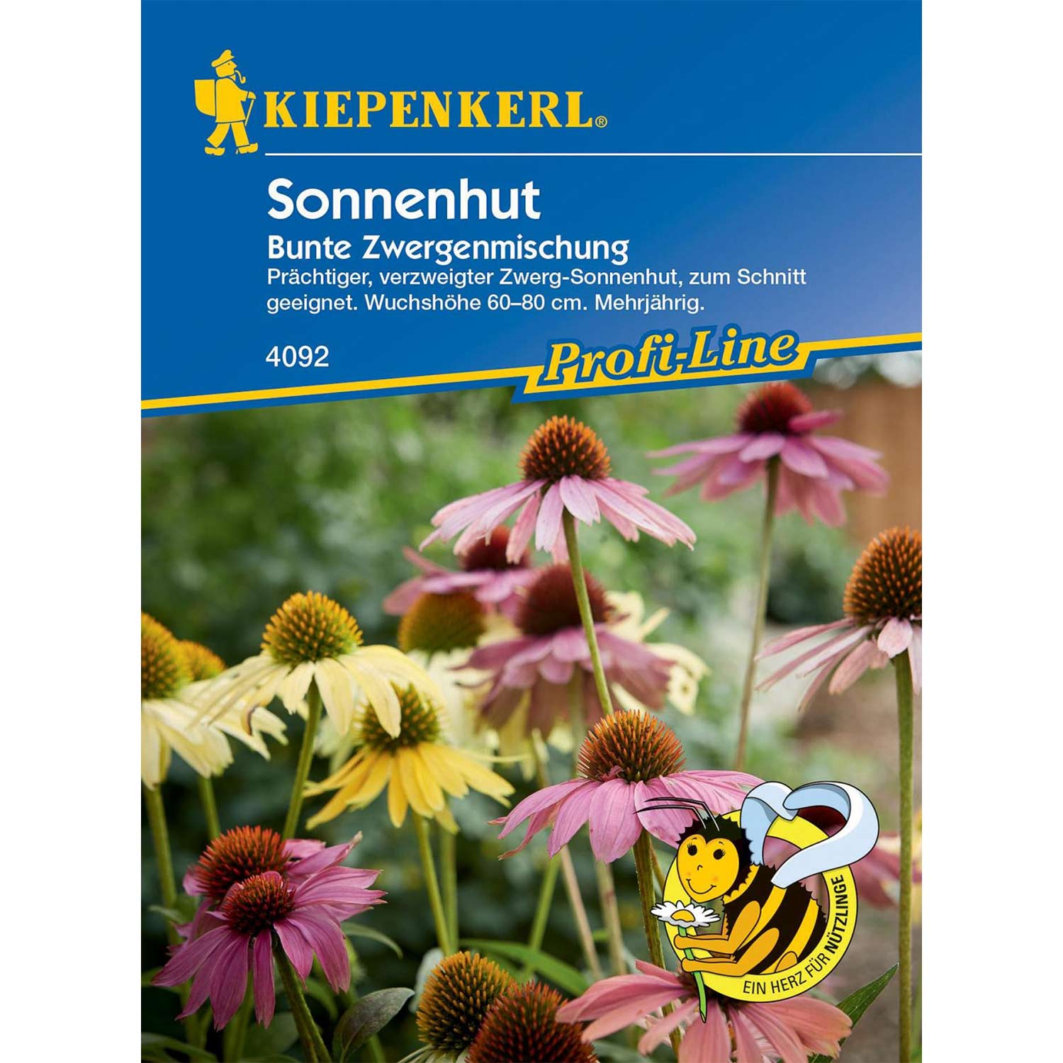 Sonnenhut - Bunte Zwergenmischung