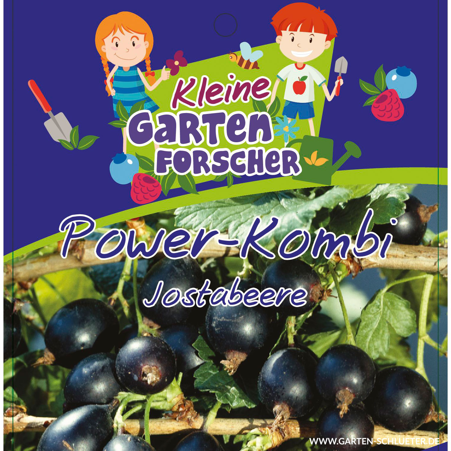 Jostabeere 'Power-Kombi' Kleine Gartenforscher