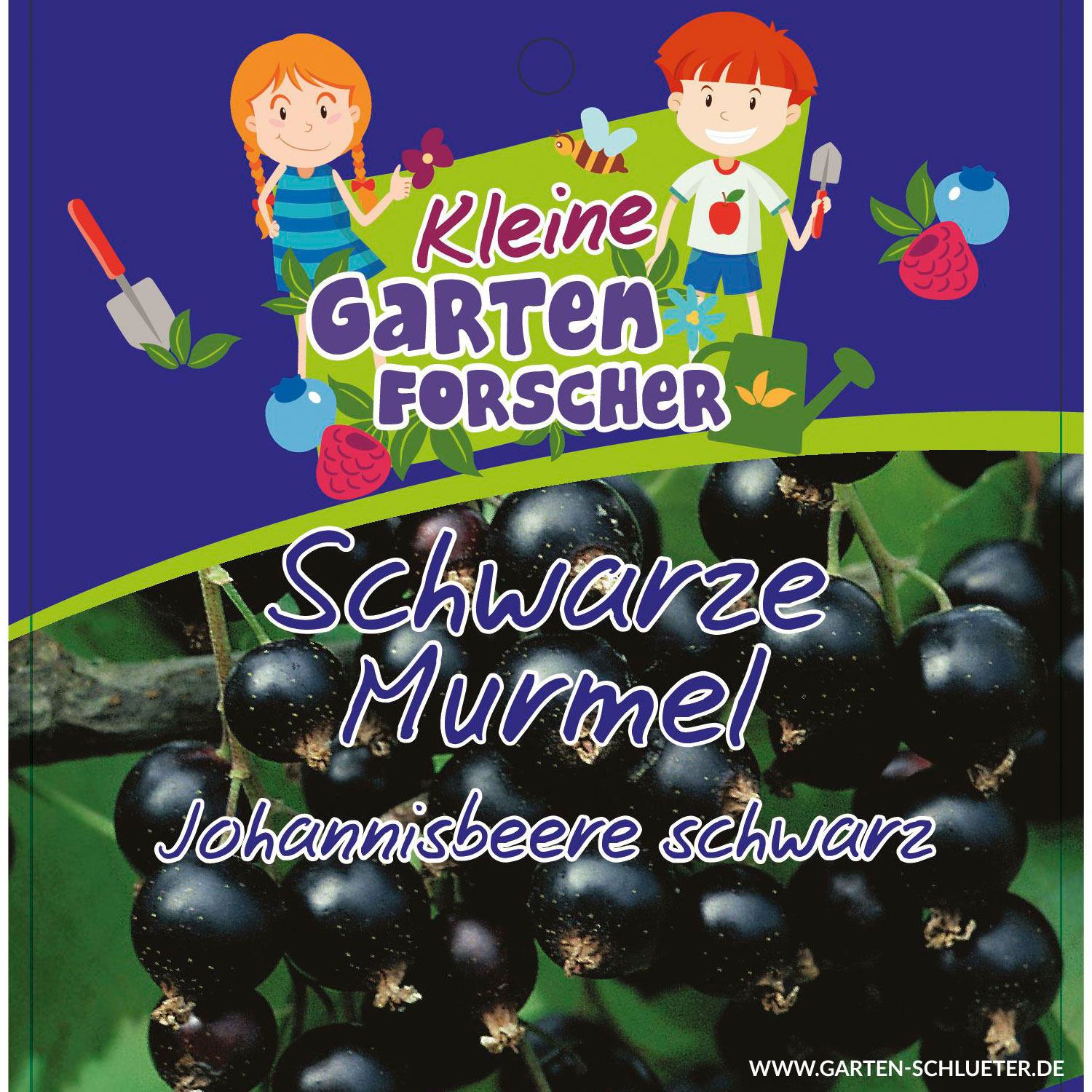 Johannisbeere 'Schwarze Murmeln'   - Kleine Gartenforscher