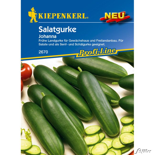 Salatgurke 'Johanna'