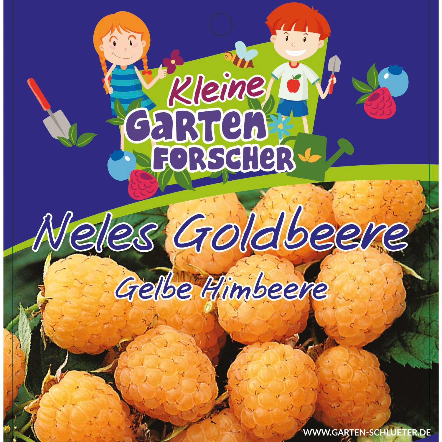 Gelbe Himbeere 'Nele´s Goldbeere' Kleine Gartenforscher