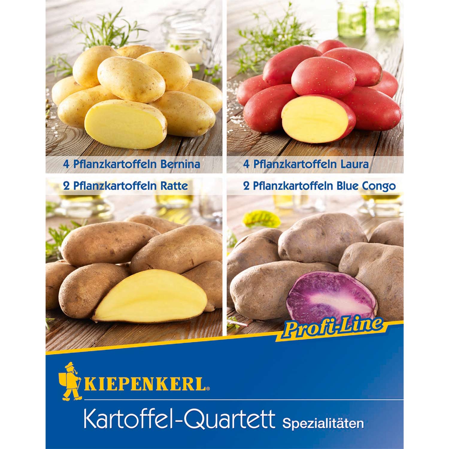 Kartoffel-Quartett - 12 Stück - 4 Sorten zum Ausprobieren