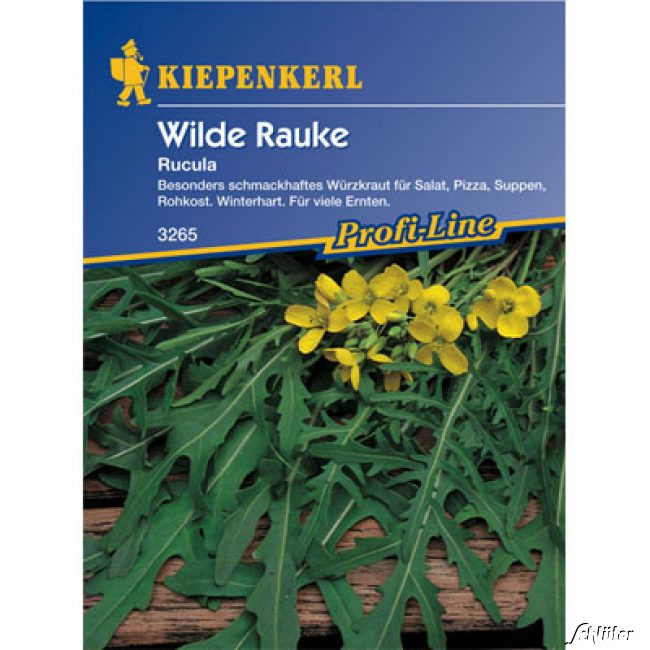 Rucola (Wilde Rauke)