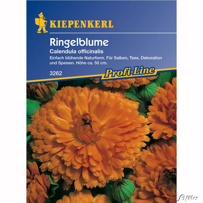 Ringelblumen