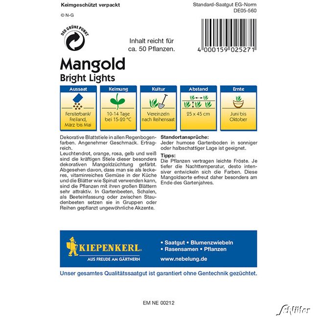 Mangold 'Bright Lights'