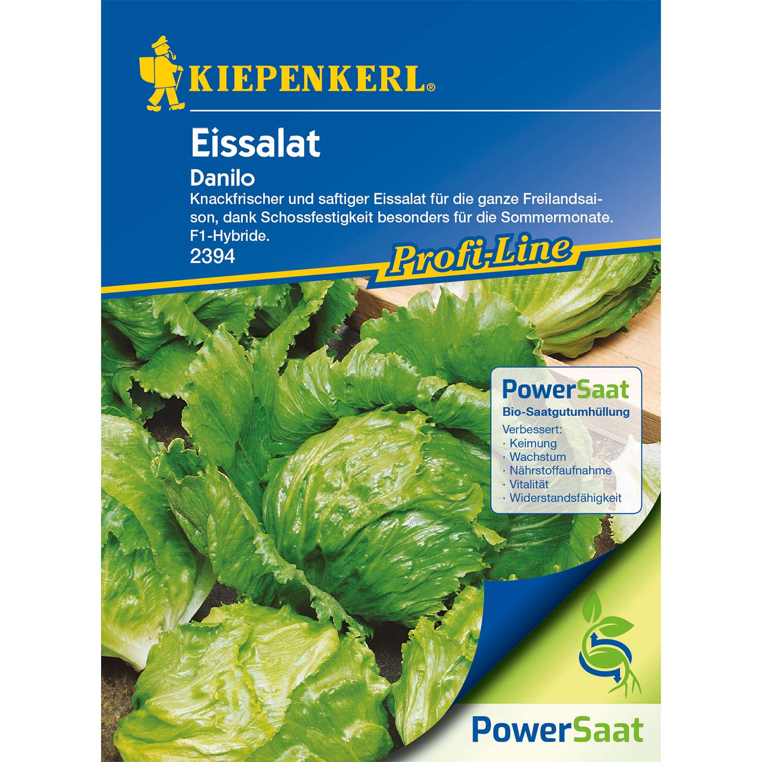 Eissalat 'Danilo' - Powersaat