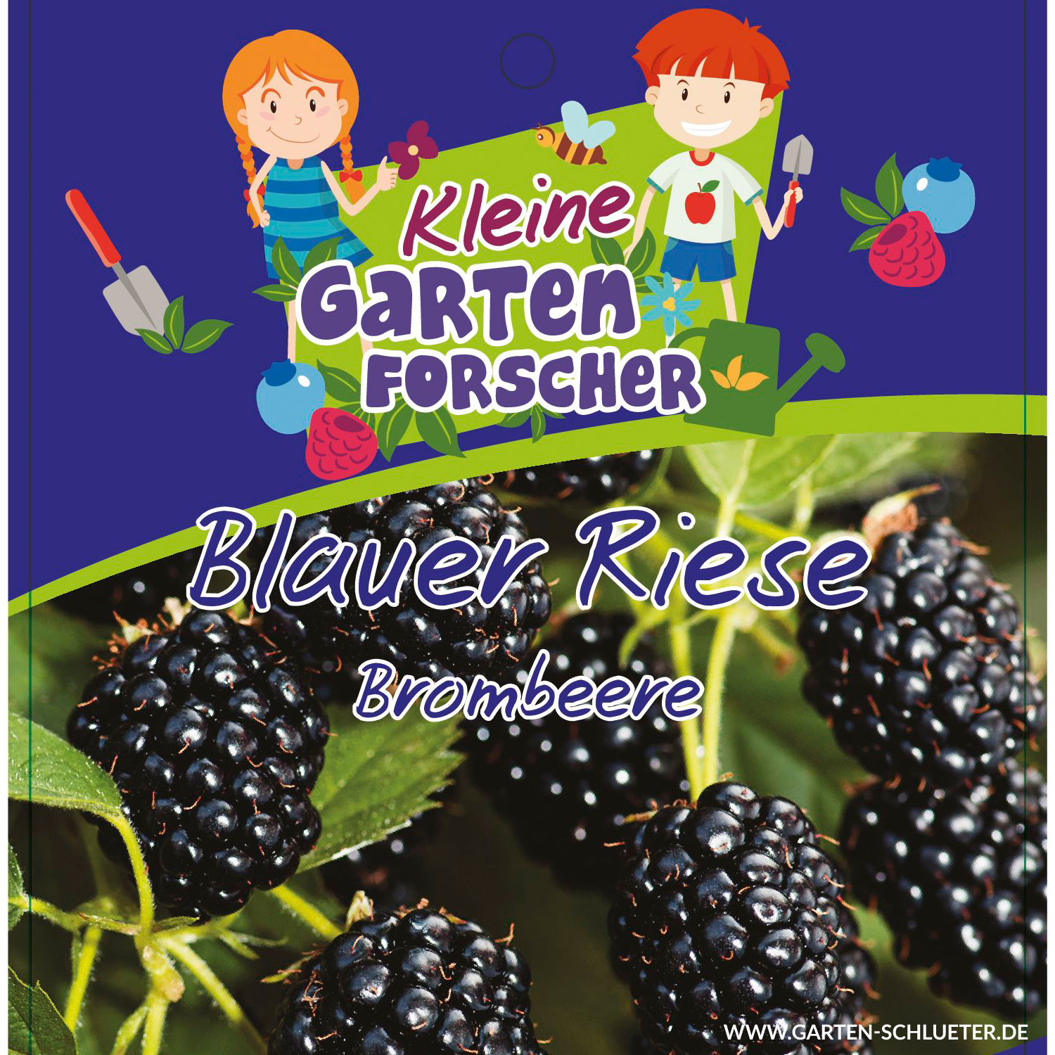 Brombeere 'Blauer Riese'  - Kleine Gartenforscher