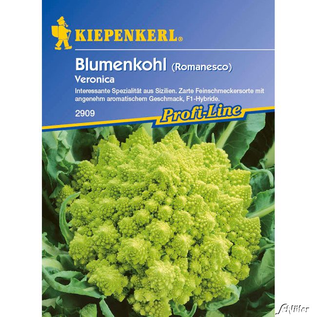 Grüner Blumenkohl 'Veronica' (Romanesco)