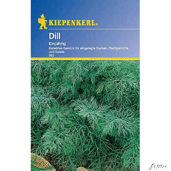 Dill