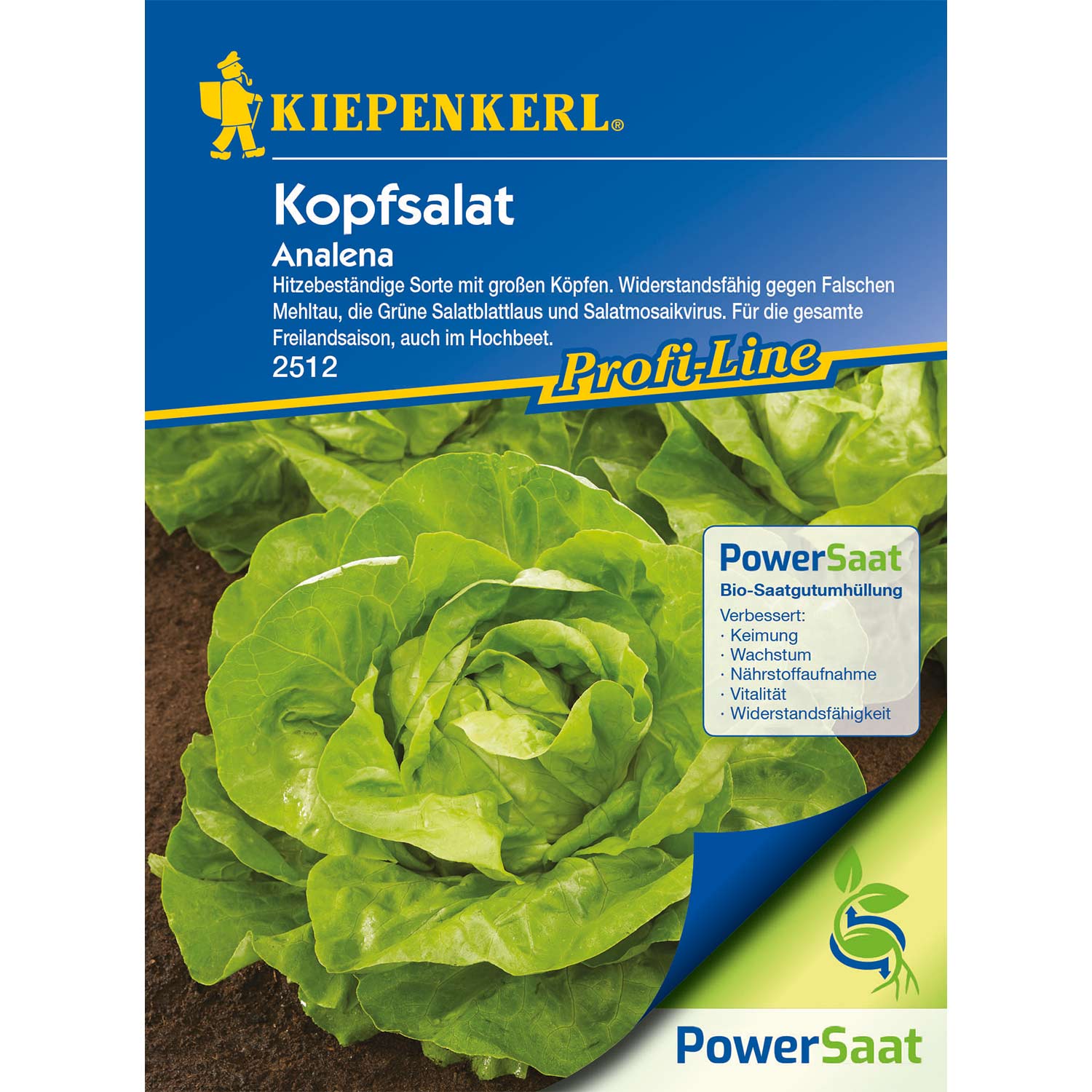 Kopfsalat 'Analena'