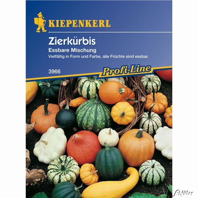 Zierkürbis 'Essbare Mischung'