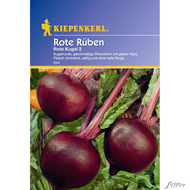 Rote Rüben 'Rote Kugel 2'