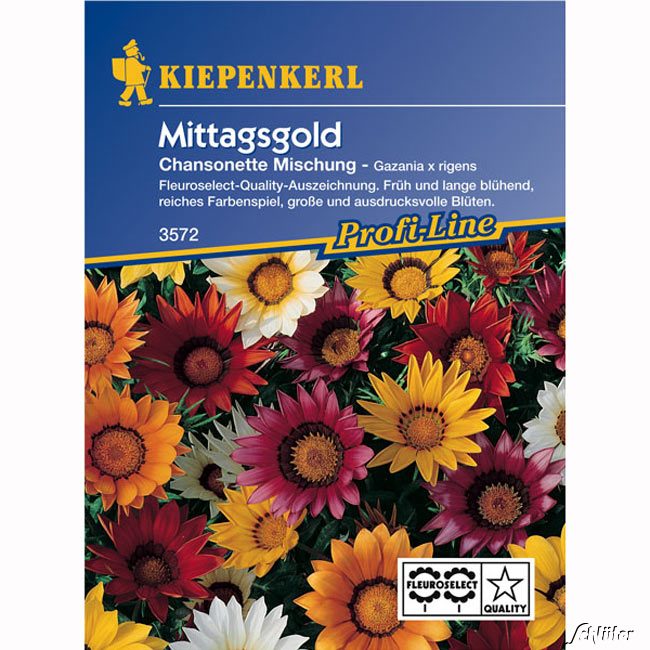 Mittagsgold 'Chansonette'