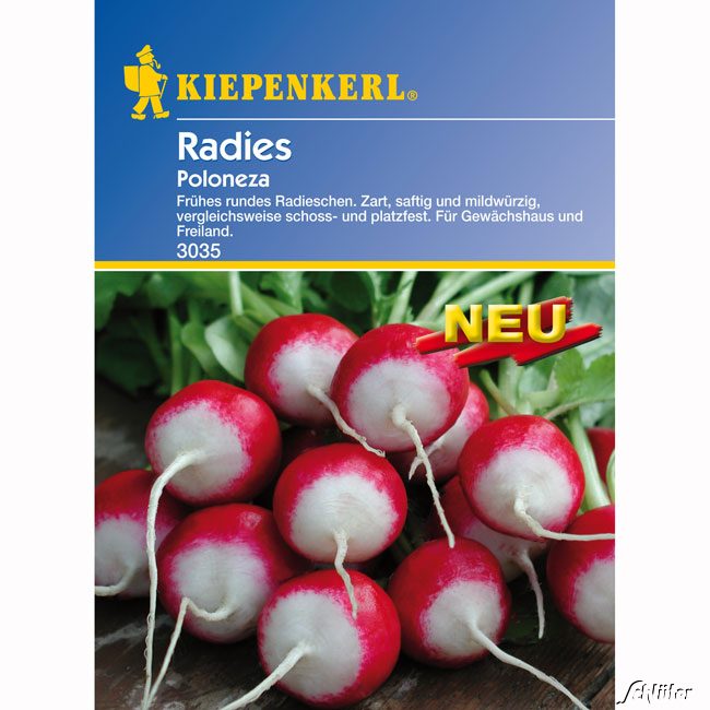 Radies 'Poloneza'