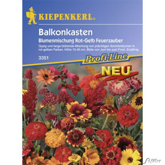 Balkonkasten-Blumenmischung 'Feuerzauber'