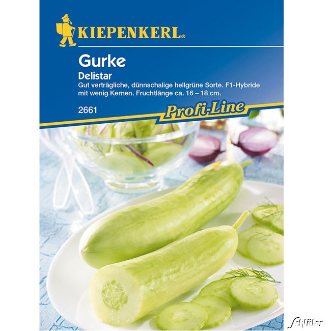 Gurke 'Delistar'