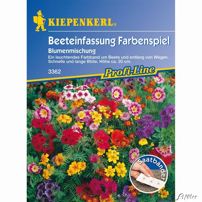 Beeteinfassungsmischung 'Farbenspiel'