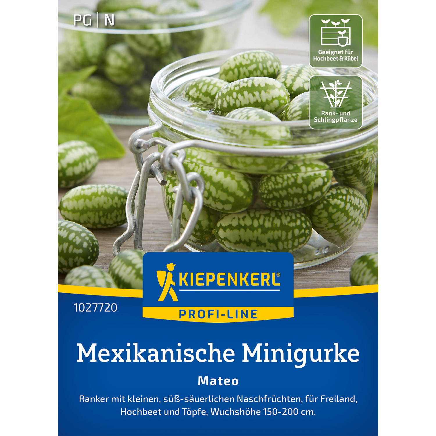 Mexikanische Minigurke 'Mateo'