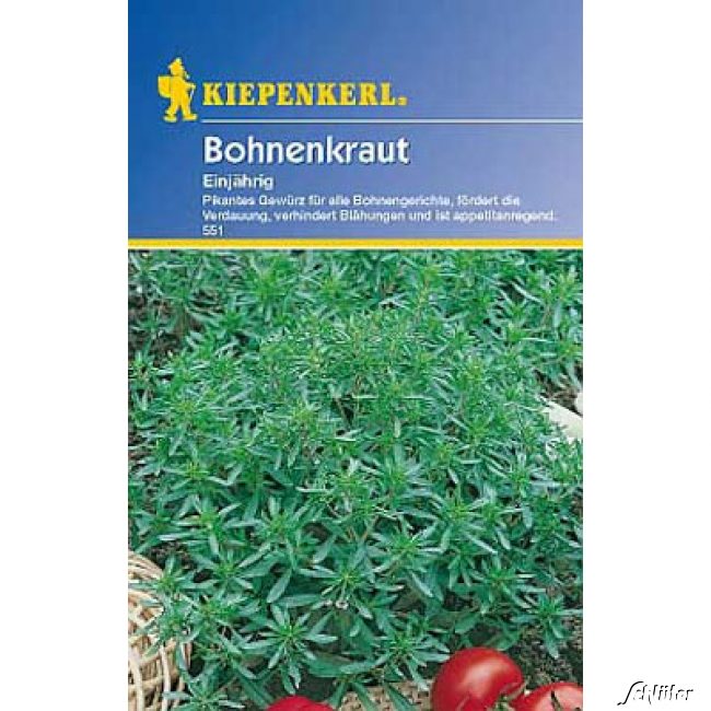 Bohnenkraut, einjährig