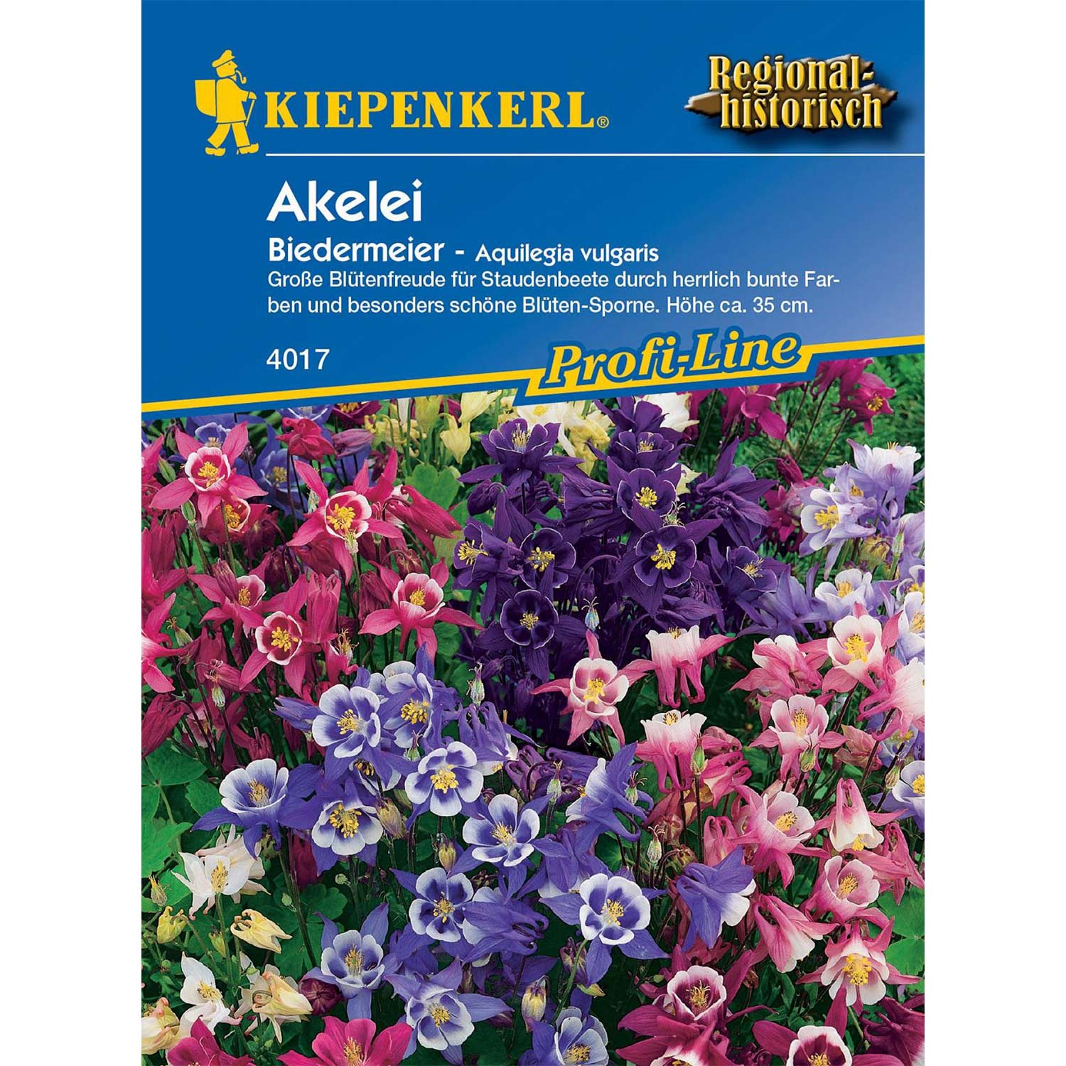 Akelei 'Biedermeier'