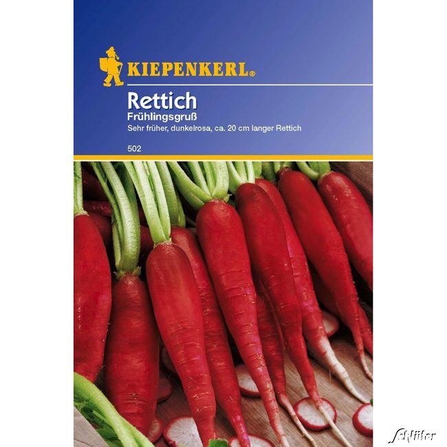 Rettich 'Ostergruß 2/ Frühlingsgruß'