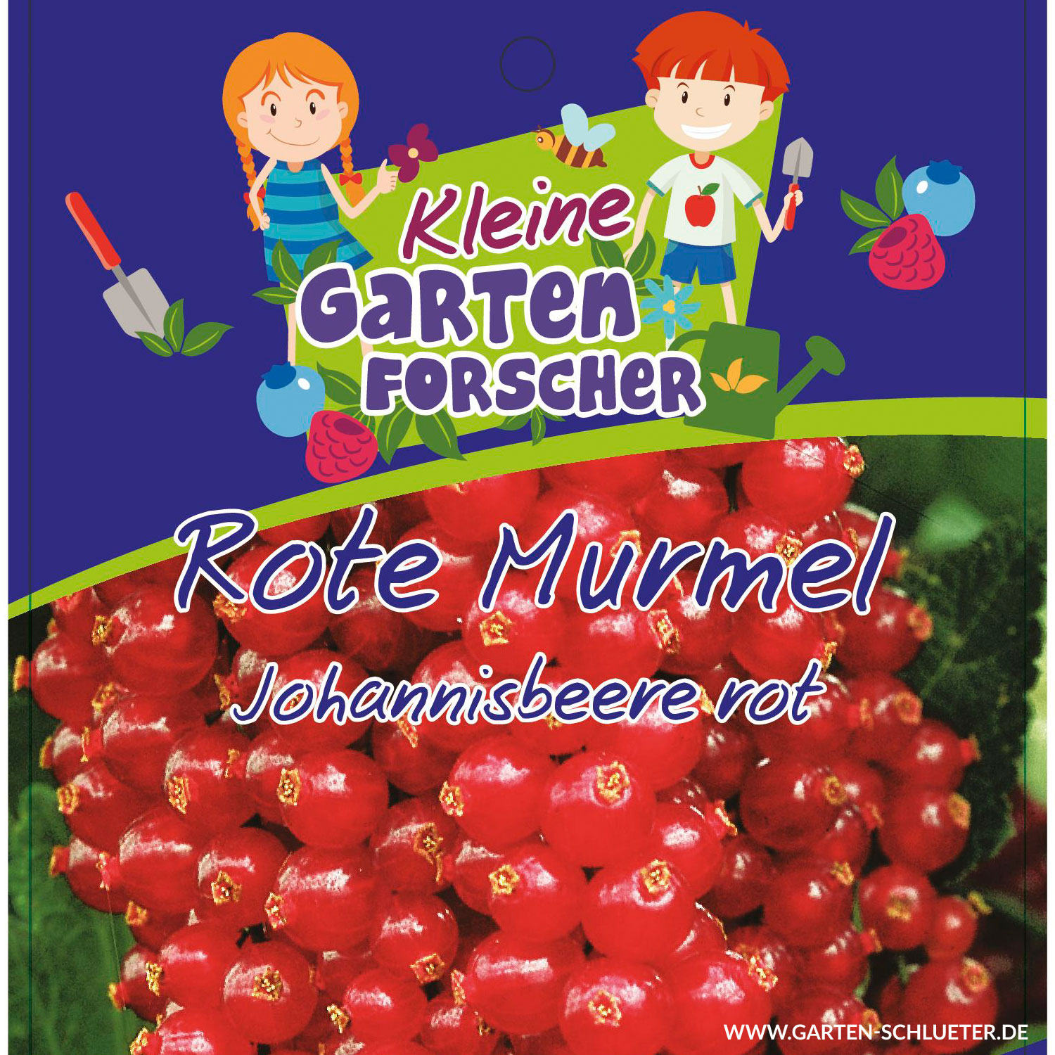 Rote Johannisbeere 'Rote Murmel'  - Kleine Gartenforscher