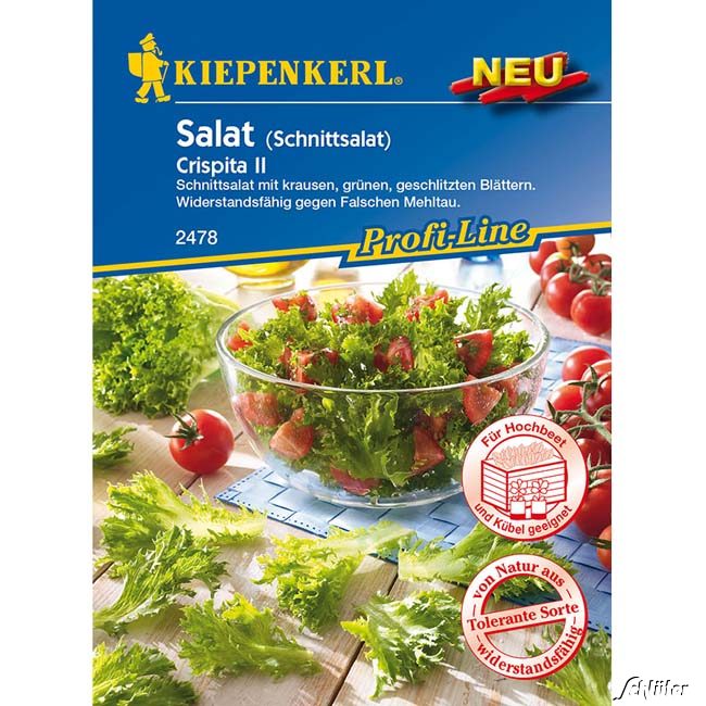 Salat 'Crispita II' - Schnittsalat