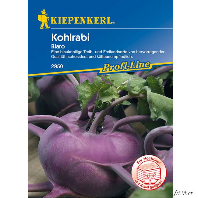 Kohlrabi 'Blaro'