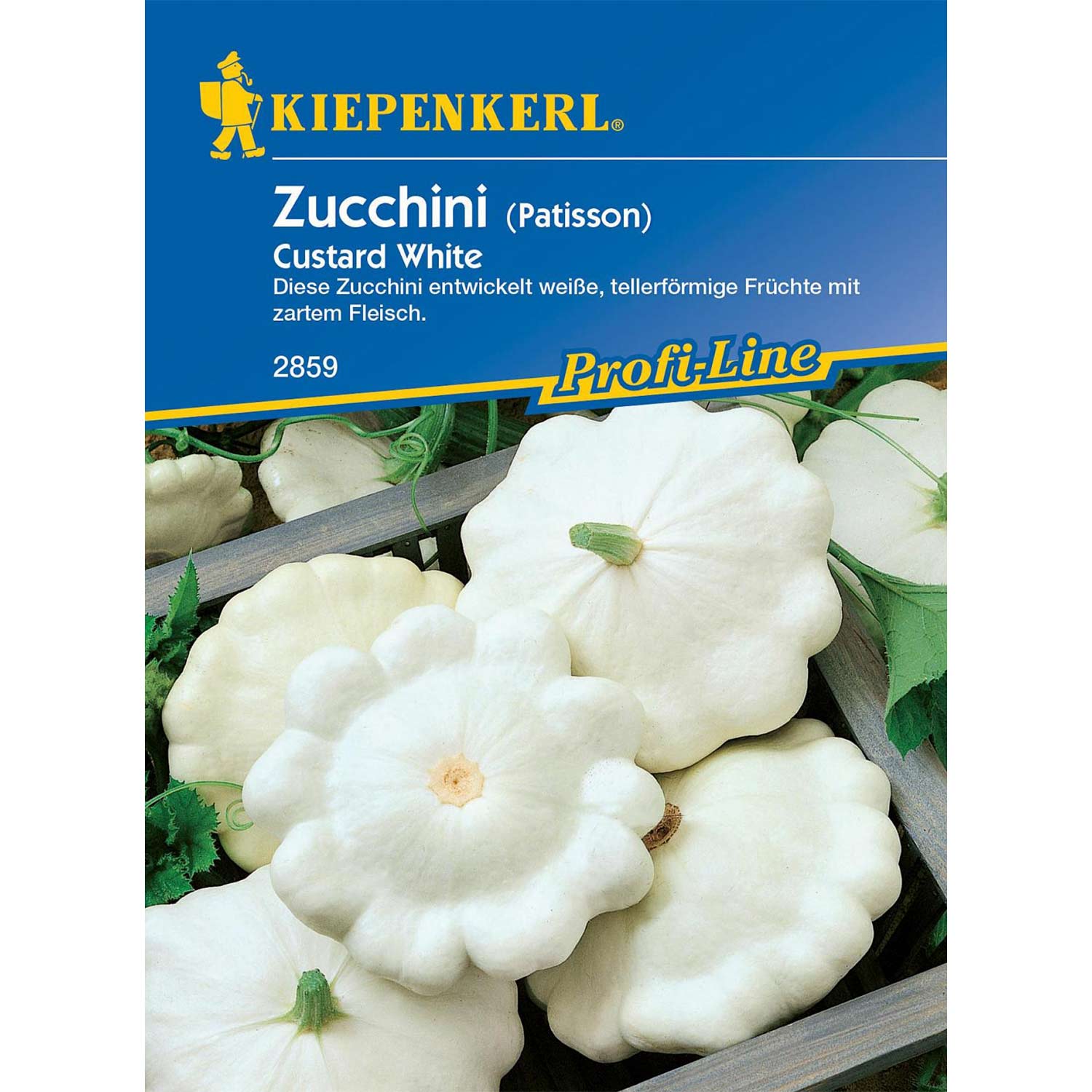 Weißer Zucchini 'Custard White / Ufo weiß'