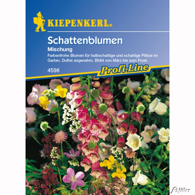 Schattenblumen 'Mischung'