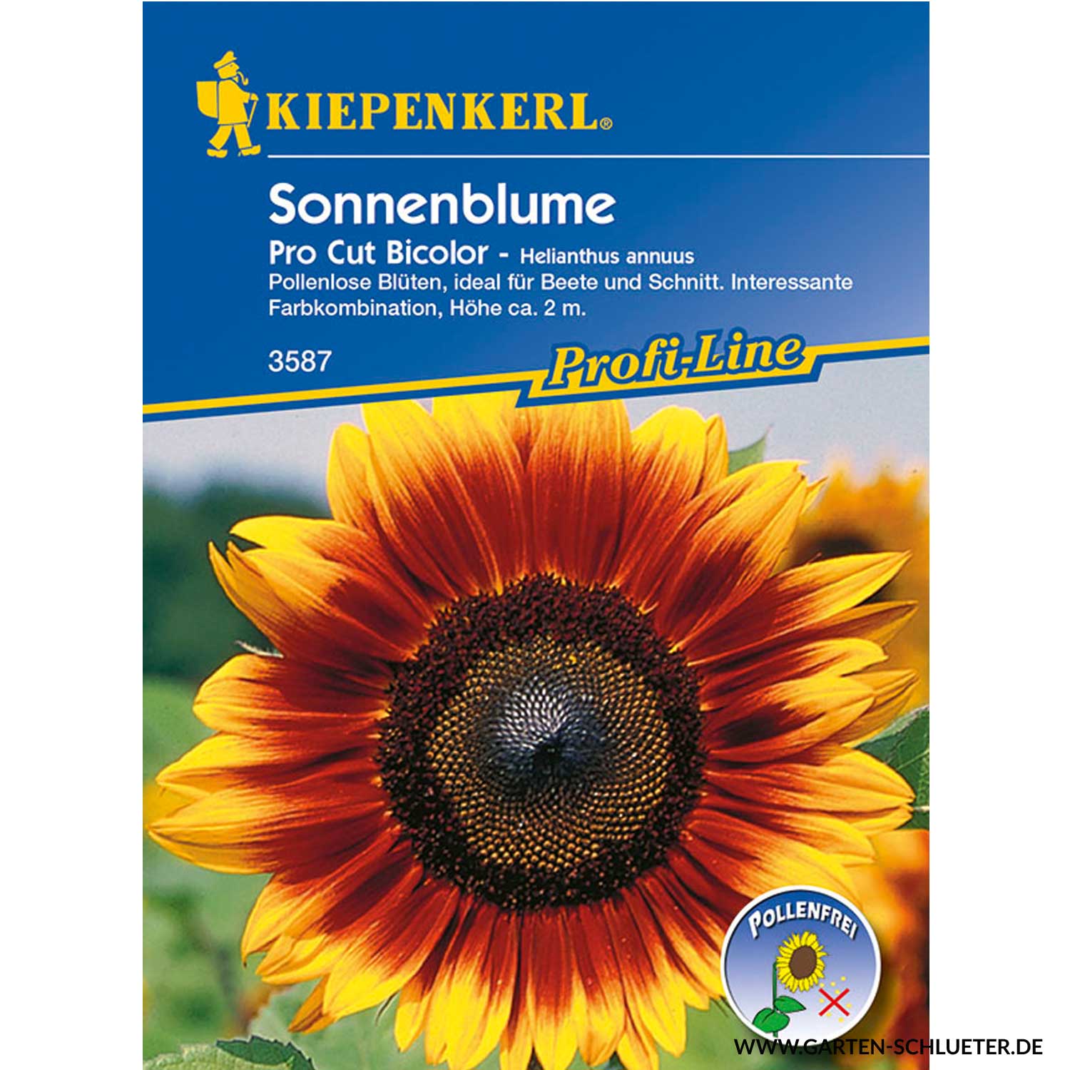 Sonnenblume 'Pro Cut Bicolor'