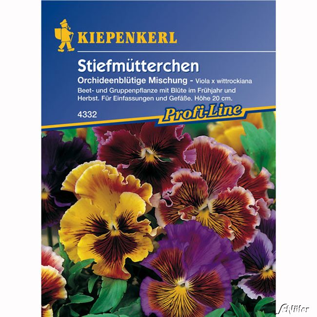 Stiefmütterchen 'Orchideenblütige Mischung'