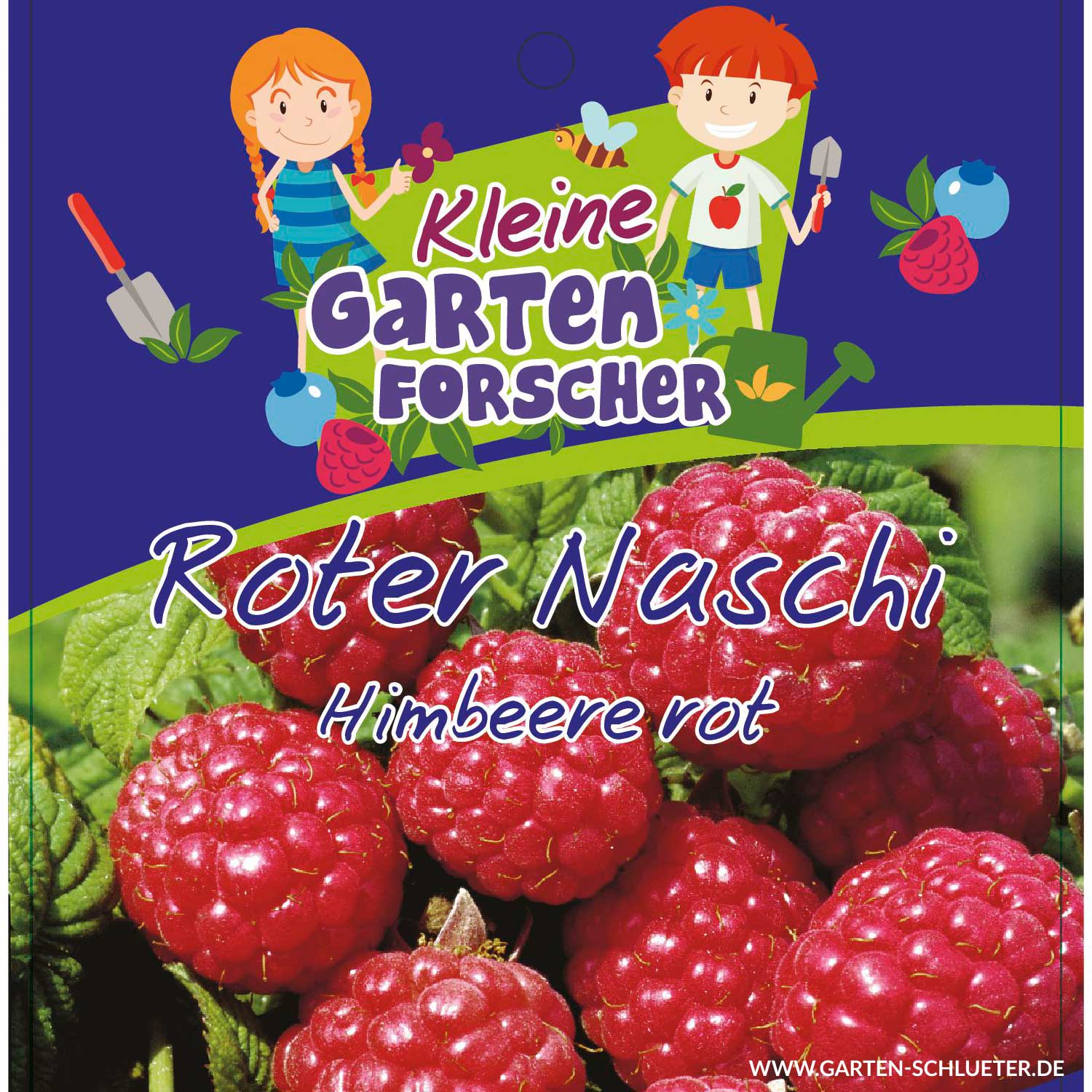 Rote Himbeere 'Roter Naschi' Kleine Gartenforscher