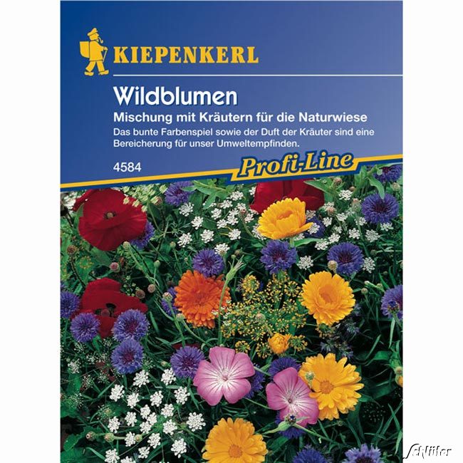 Wildblumen mit Kräutern