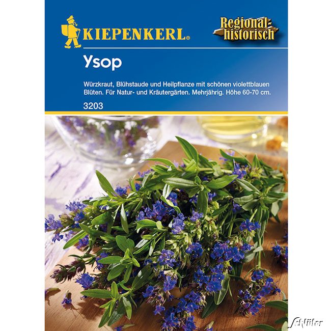 Ysop - Würzkraut