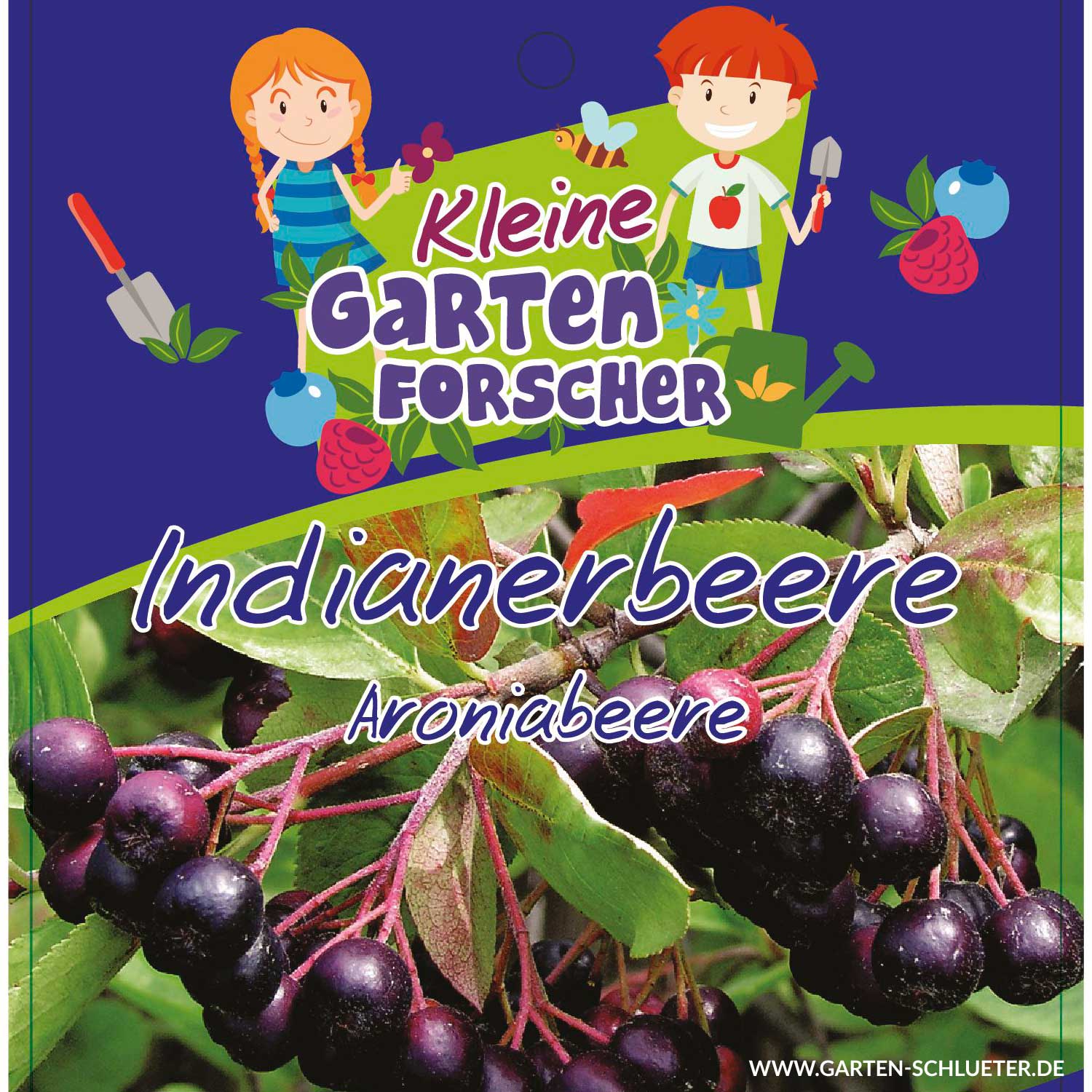 Apfelbeere 'Indianerbeere' Kleine Gartenforscher