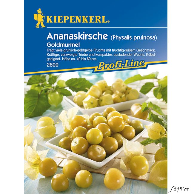 Ananaskirsche 'Goldmurmel'