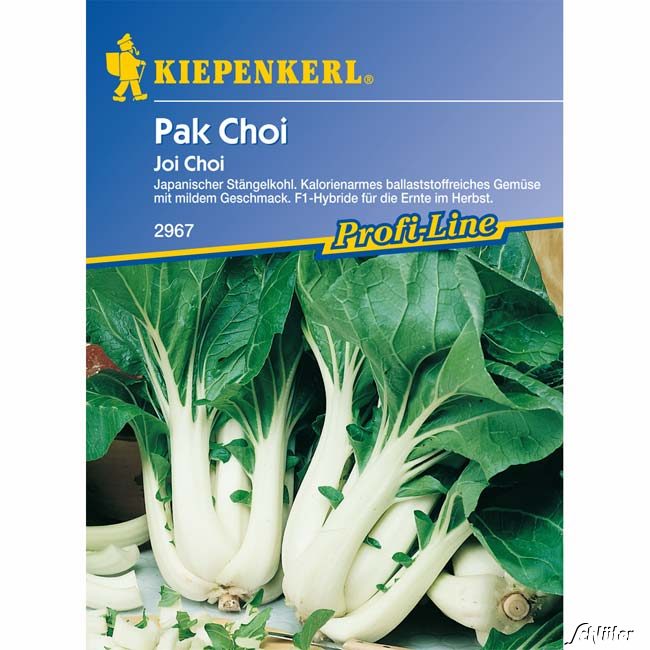 Pak Choi 'Joi Choi'