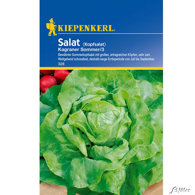 Kopfsalat 'Kagraner Sommer 2'