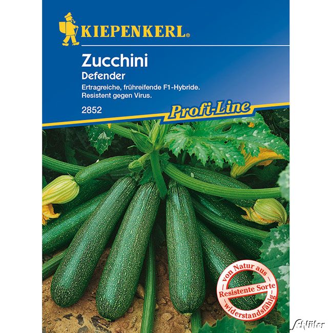 Zucchini 'Defender'