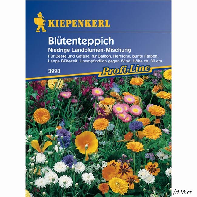 Blütenteppich