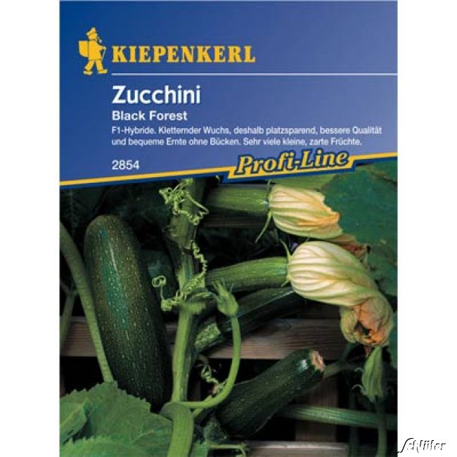 Zucchini 'Black Forest'